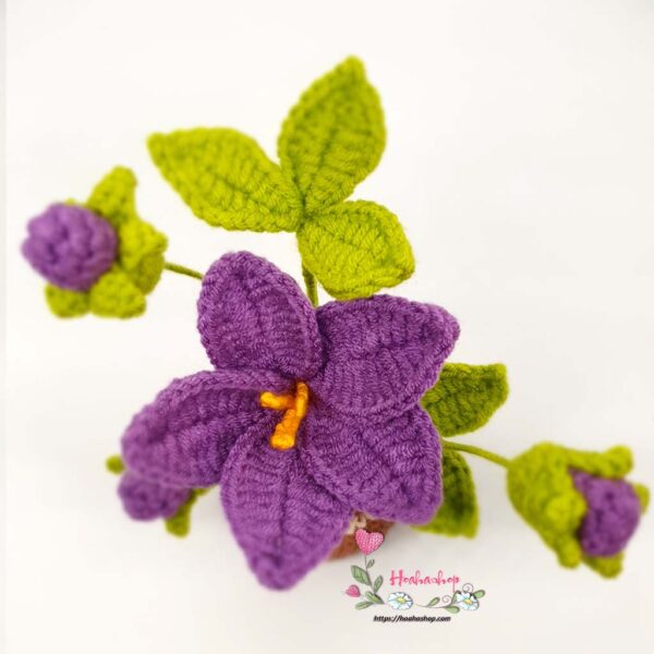 CH-011- Mẫu chậu hoa len mini để bàn