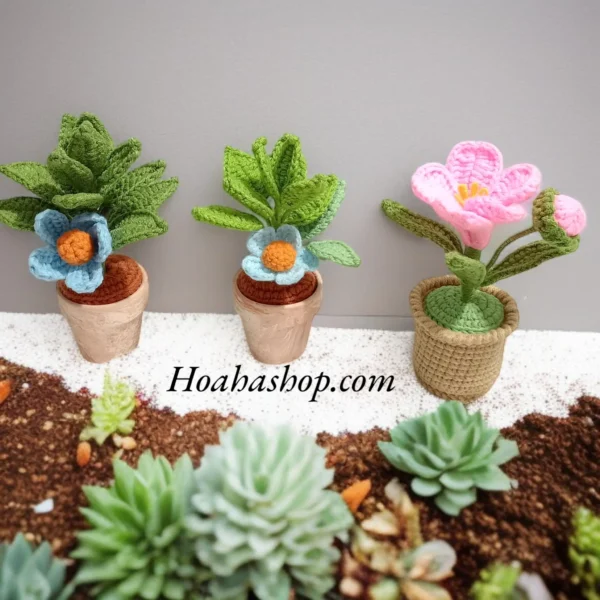 ✨ Chậu Cây Mini Hoa Len Thủ Công - Tinh tế và độc đáo✨