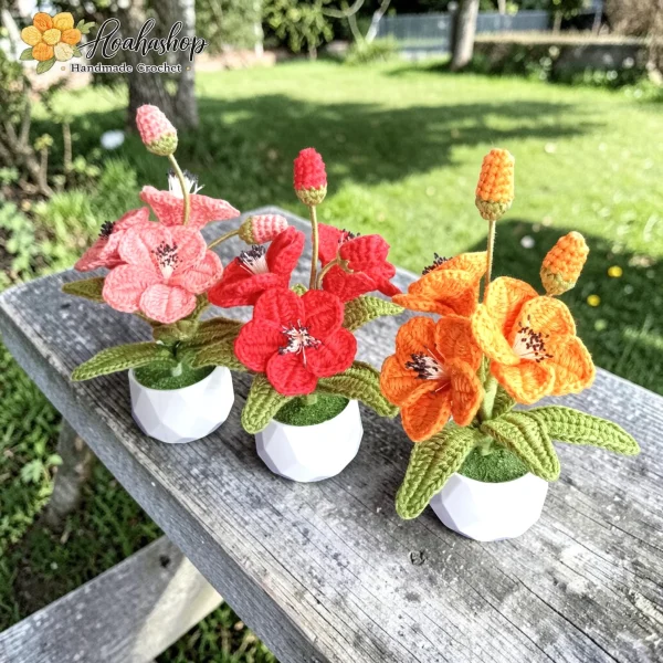 Chậu Hoa Len Trang Trí – Mẫu Hoa Rực Sắc Xuân